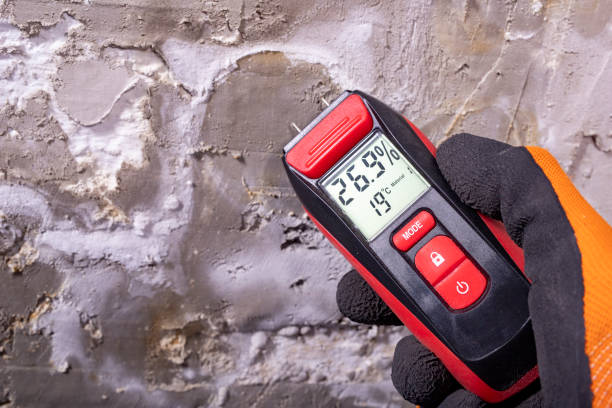 Best Residential Mold Remediation in Rio, WI