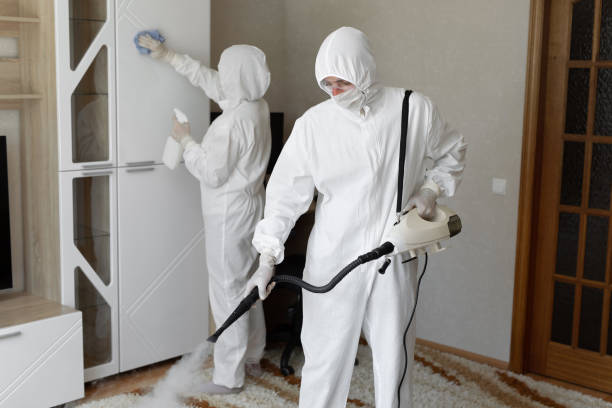 Professional Mold Remediation in Rio, WI